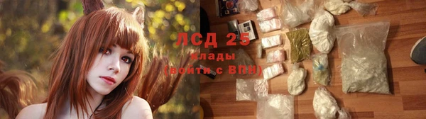 ПСИЛОЦИБИНОВЫЕ ГРИБЫ Бронницы