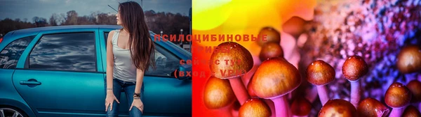 прущие крисы Богданович