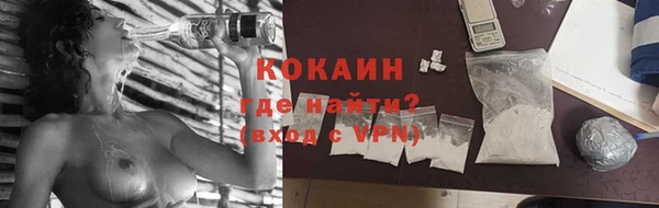 гашик Богородск