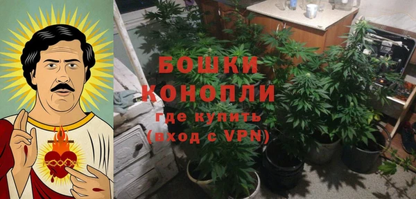 мдпв Богородицк