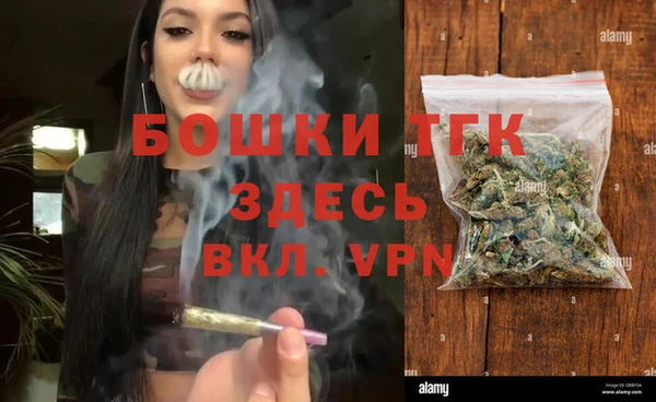 гашик Богородск