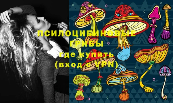 амф Бородино