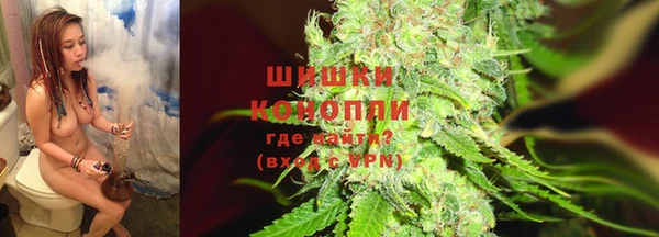 амф Бородино