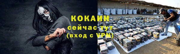 гашик Богородск