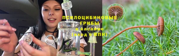 гашик Богородск